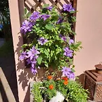 Romantik-villa Lebensart * רייכנפלס