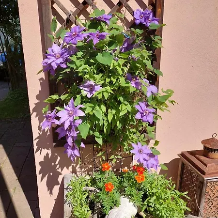 Romantik-villa Lebensart * Reichenfels