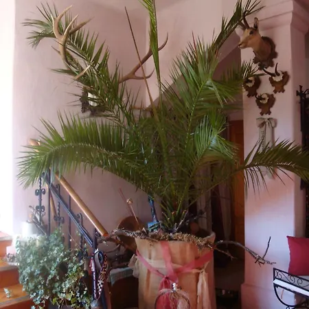 アパート Romantik-villa Lebensart