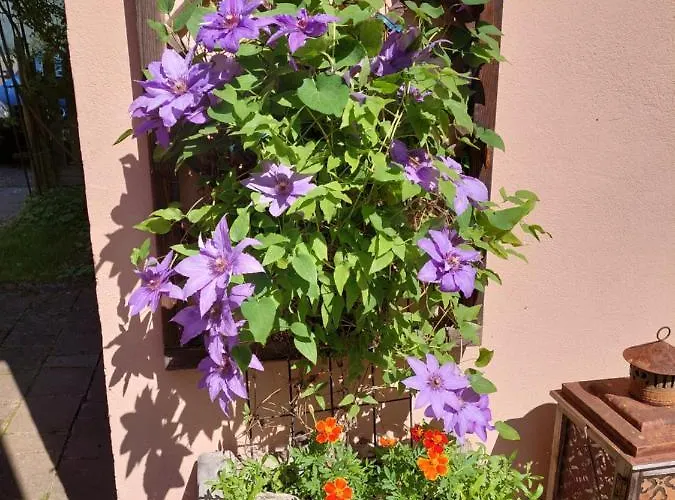 Romantik-villa Lebensart * Reichenfels