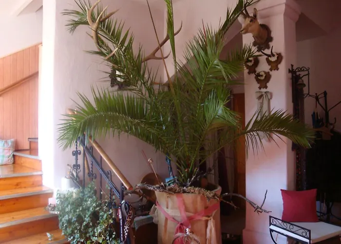 Apartment Romantik-villa Lebensart